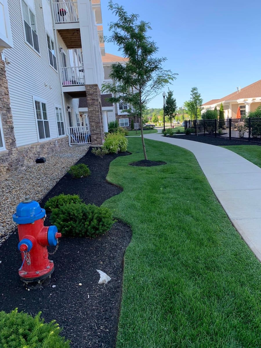 North Point Outdoors landscaping maintenance photos