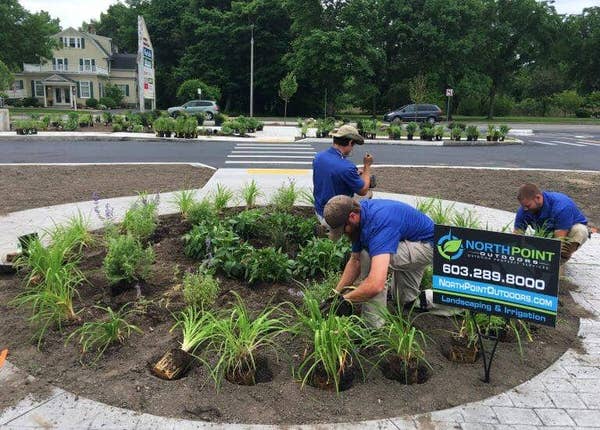 Commercial landscapers planting in a public town square