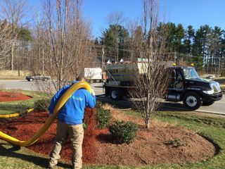 Bark Mulch Installation