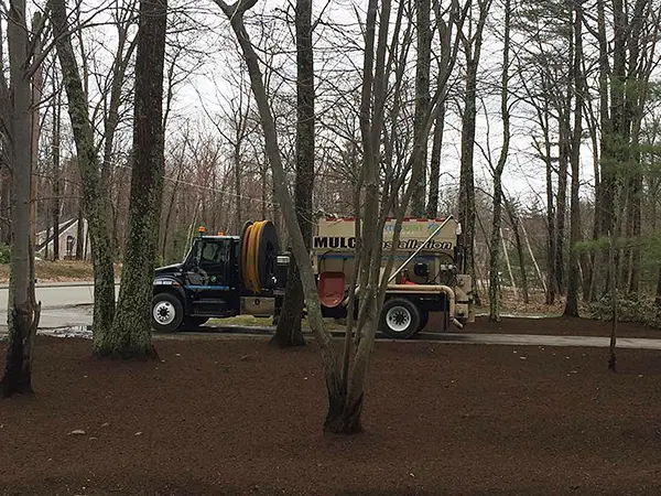 North Point - Bark Mulch Service