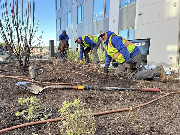 North Point - Irrigation Service