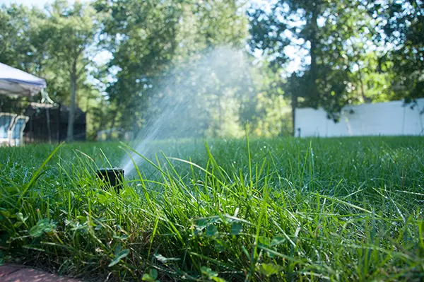 North Point - Irrigation Service