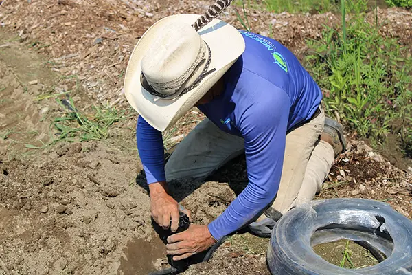 North Point - Irrigation Service