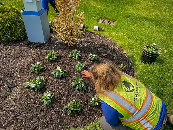 North Point - Plantings Service