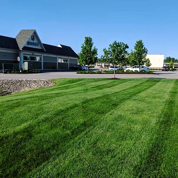 North Point - Turf, Tree & Shrub Care Service