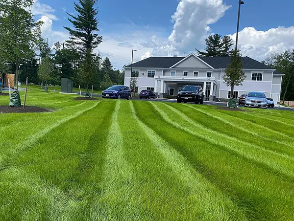 North Point - Turf, Tree & Shrub Care Service