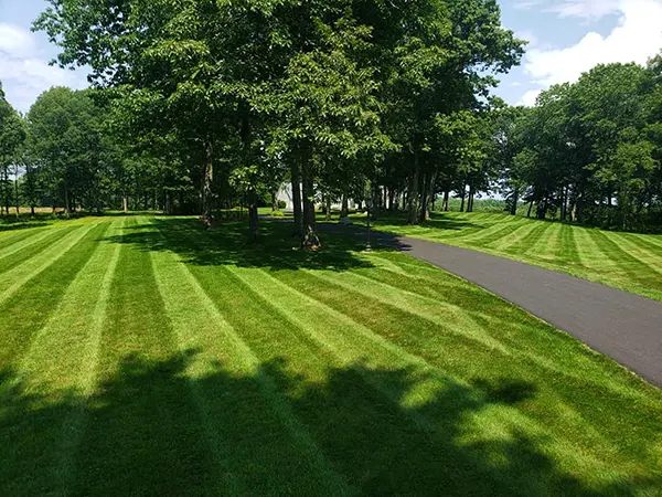 North Point - Turf, Tree & Shrub Care Service