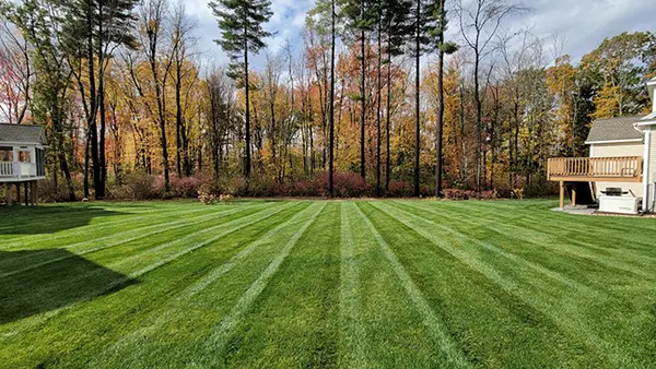 North Point - Turf, Tree & Shrub Care Service