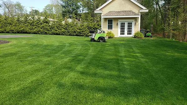 North Point - Turf, Tree & Shrub Care Service