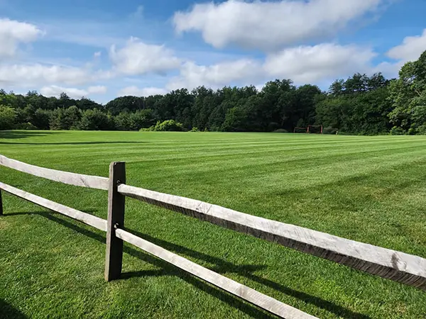 North Point - Turf, Tree & Shrub Care Service