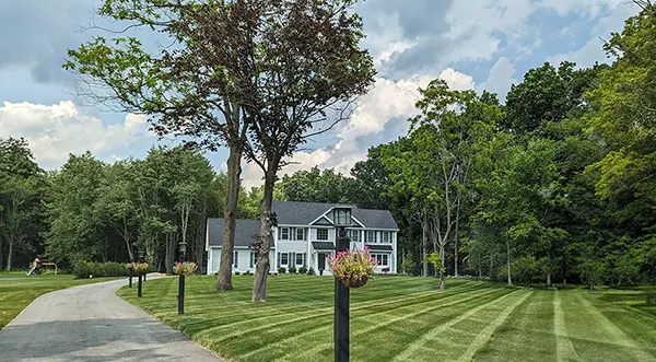 North Point - Turf, Tree & Shrub Care Service