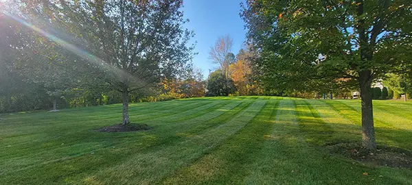 North Point - Turf, Tree & Shrub Care Service