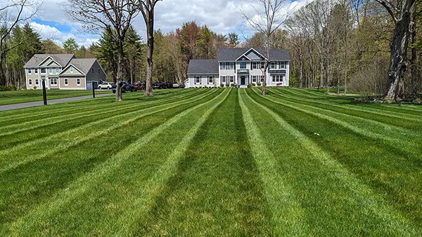 North Point - Turf, Tree & Shrub Care Service