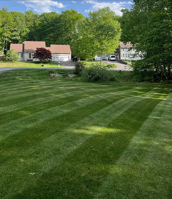 North Point - Turf, Tree & Shrub Care Service