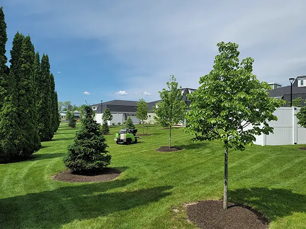 North Point - Turf, Tree & Shrub Care Service