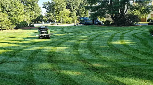 North Point - Turf, Tree & Shrub Care Service