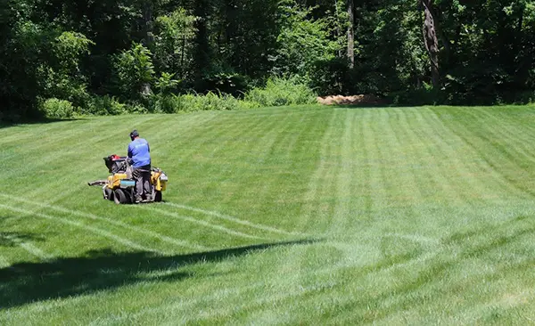 North Point - Turf, Tree & Shrub Care Service