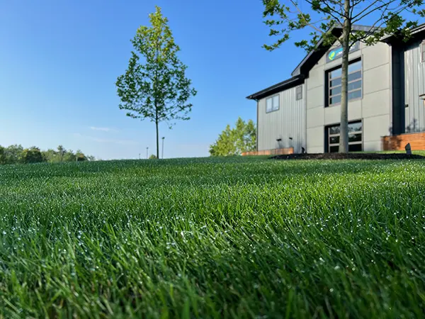 North Point - Turf, Tree & Shrub Care Service