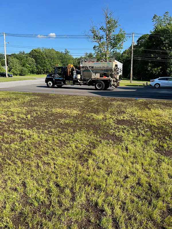 North Point - Turf, Tree & Shrub Care Service