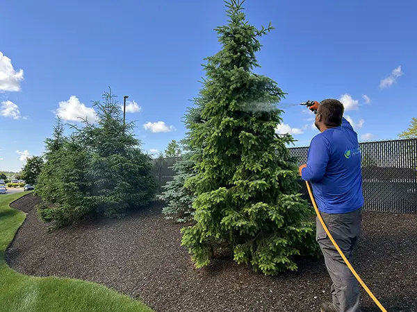 North Point - Turf, Tree & Shrub Care Service