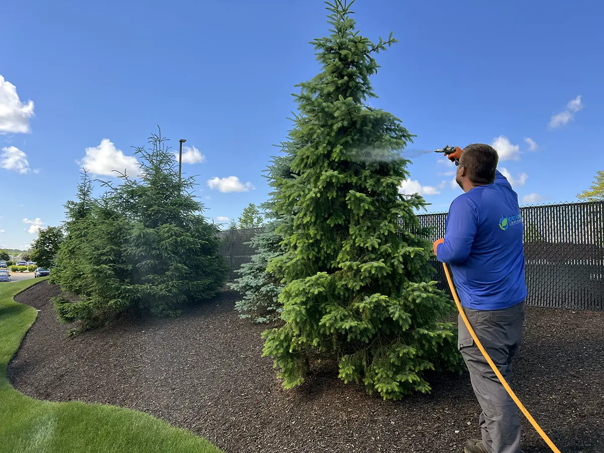 North Point - Turf, Tree and Shrub Care Service