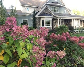Garden Design and Plantings