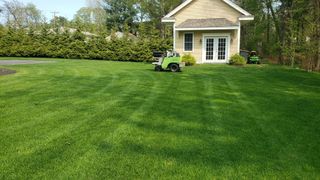 Turf Care & Fertilization Program