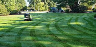 The North Point Way, 6-Step Turf Care Program